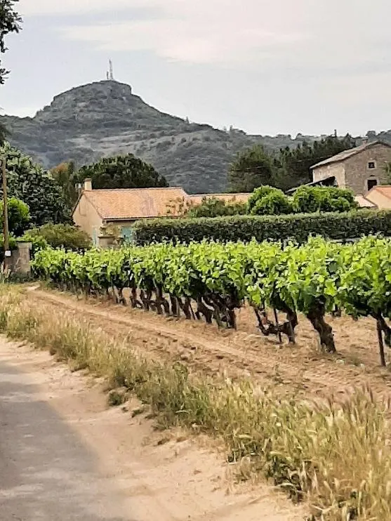 Les Vignes Daire Vallon-Pont-dʼArc 0*,  Fransa